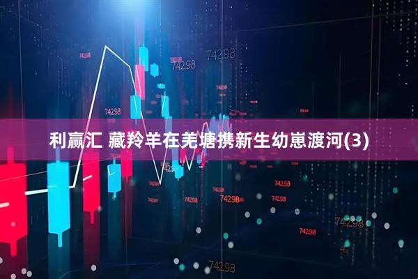 利赢汇 藏羚羊在羌塘携新生幼崽渡河(3)
